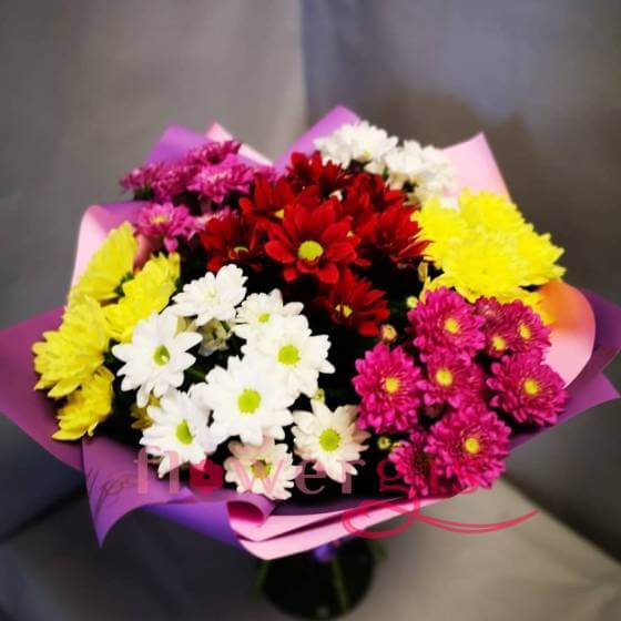 Лучи счастья